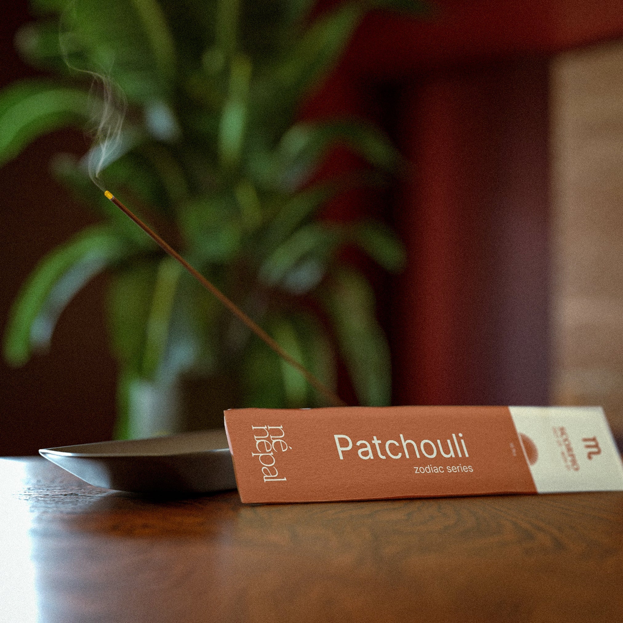 A Beginner’s Guide to Using Incense in Your Rituals