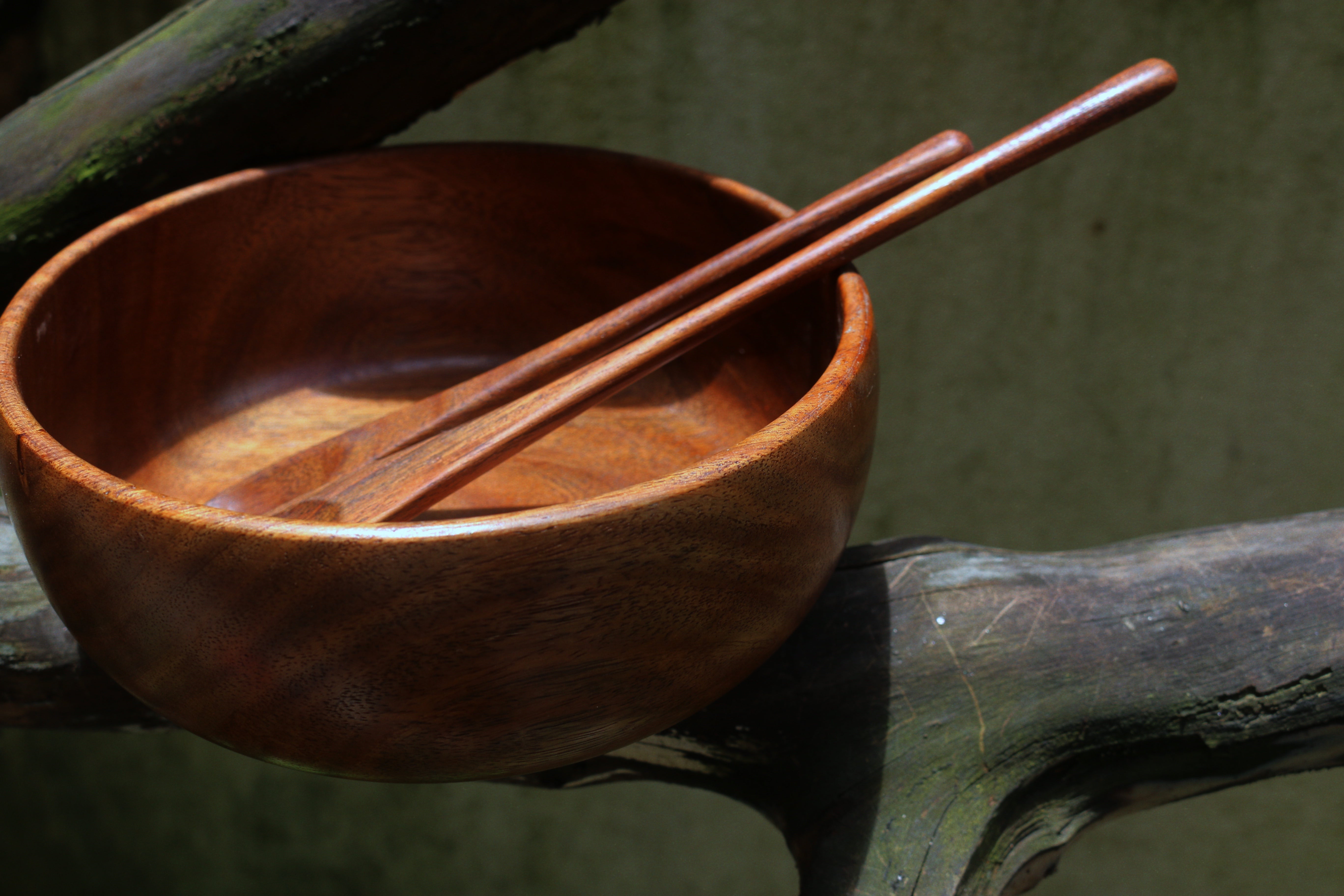 Wooden Bowl