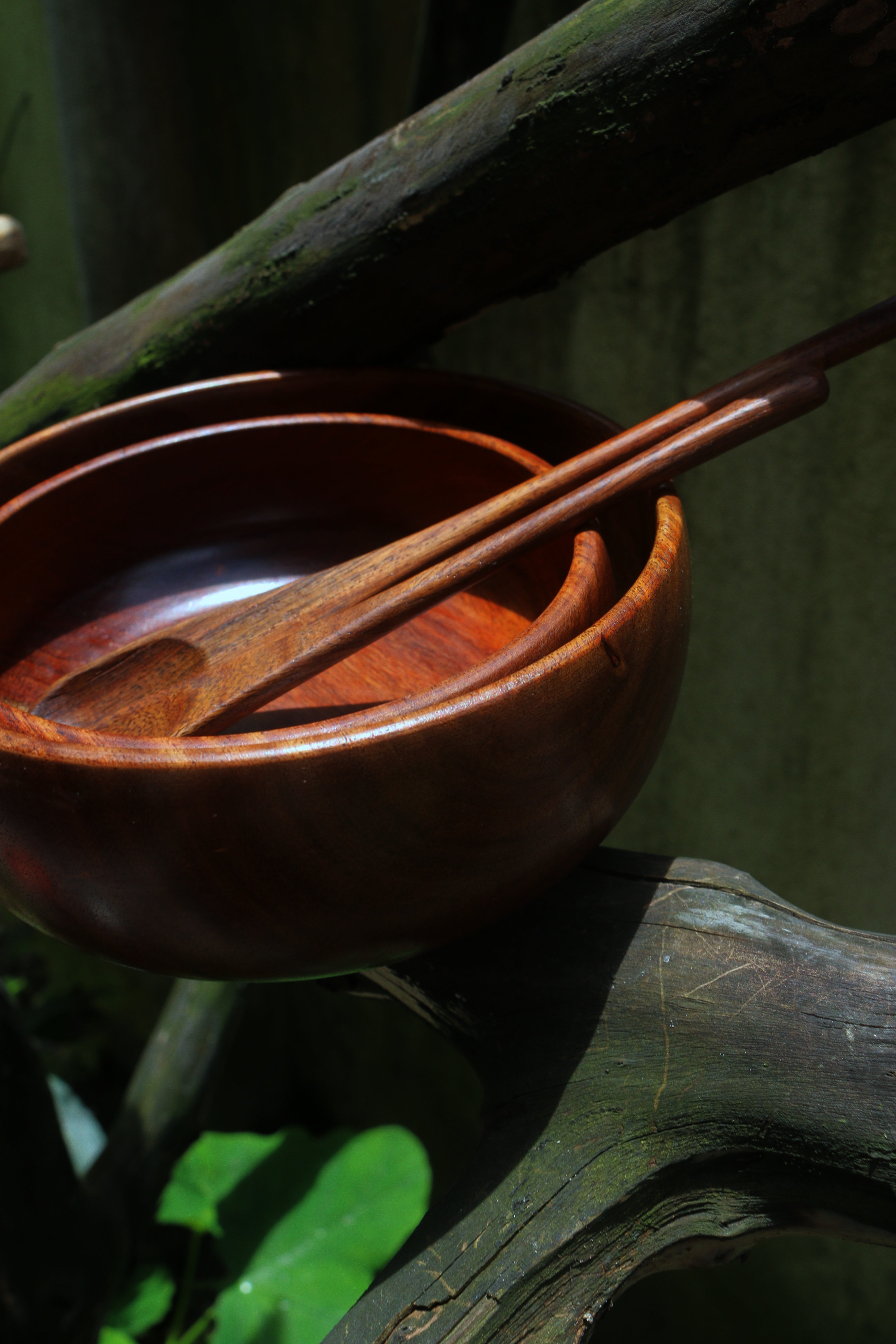 Wooden Bowl