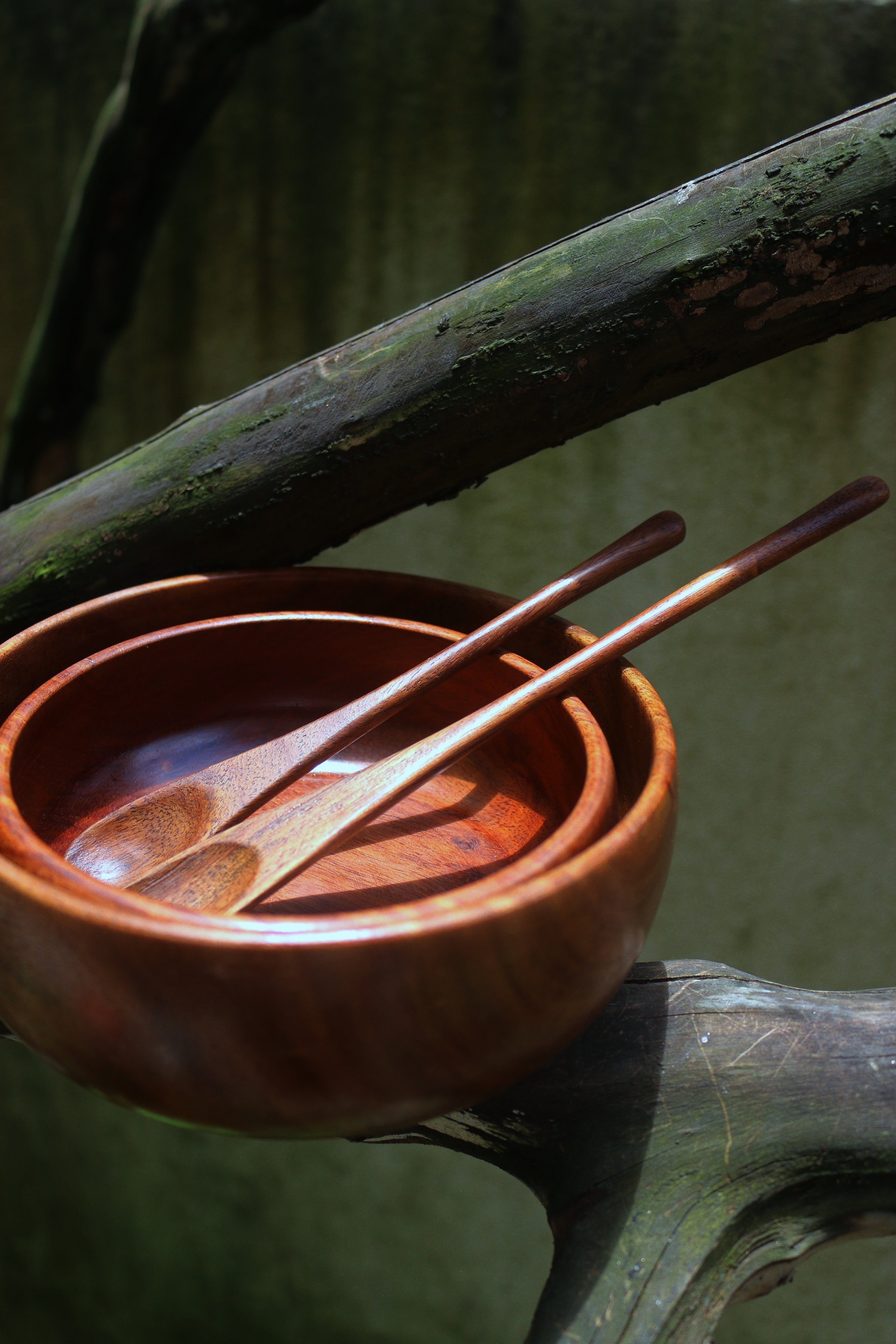 Wooden Bowl